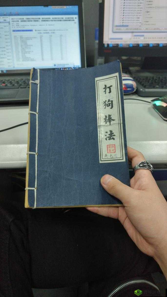 我的侠客打狗棒法怎么得？打狗棒获得方法介绍及其资源管理策略