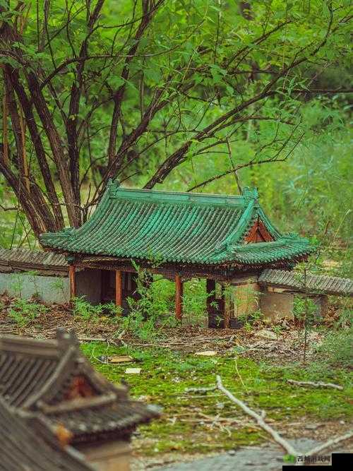 我的侠客丐帮总舵探秘，京城深处的秘密基地