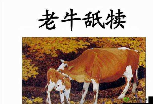 老牛耕田陈雪究竟有着怎样的故事?探秘老牛与陈雪之间的奇妙关联
