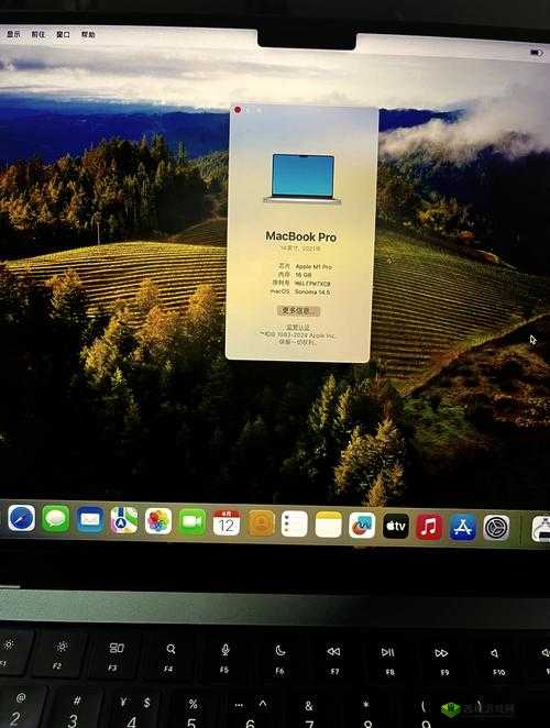 MacBook Pro高清播放流畅不卡顿,性能卓越满足你的高清需求体验