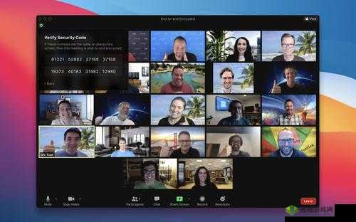 俄罗斯Zoom人与Zoom哪个更受欢迎?用户体验与功能对比分析