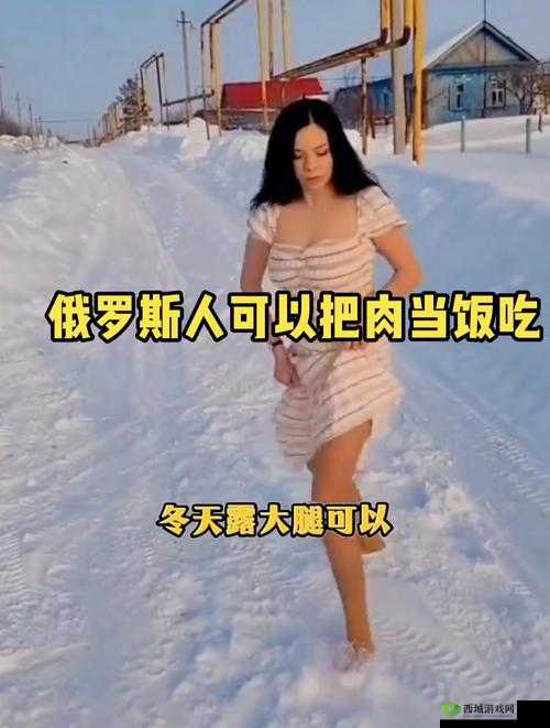 俄罗斯人与 zoom 人有何区别?全面解析两者差异