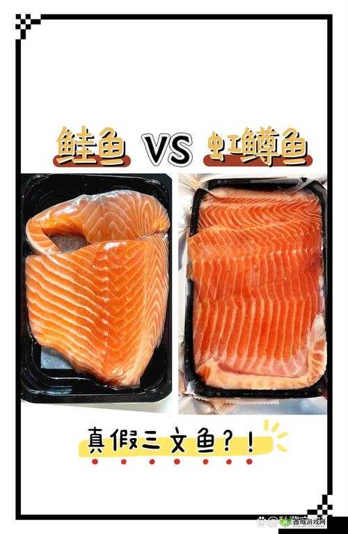 亚洲三产品究竟有何区别?全面解析其差异点在哪里