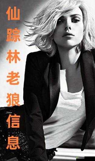 仙踪林 老狼信息是否涉及低俗内容？深入探讨其背后的真相