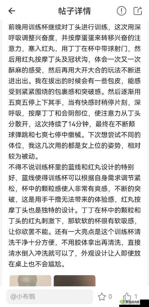 龟波x功的修炼秘籍：掌握这些技巧，让你的实力突飞猛进
