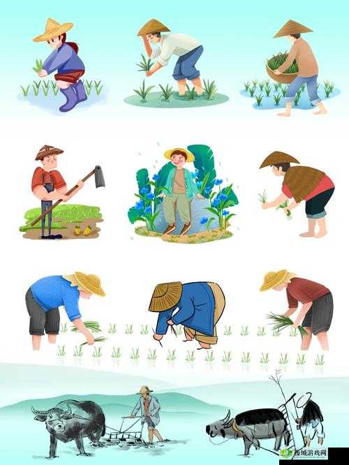 揭秘24种男女插秧法:传统农耕技巧与现代农业结合的创新实践