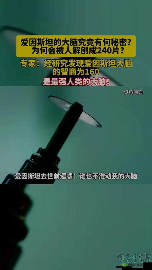 最强蜗牛爱因斯坦大脑切片怎么样?贵重属性全解析