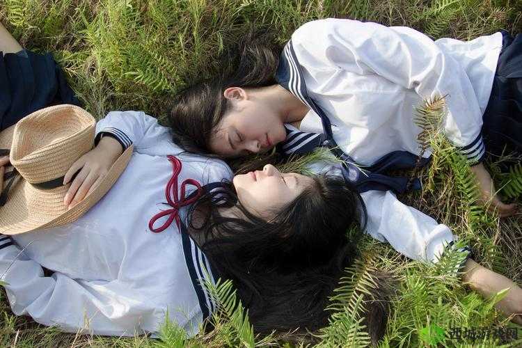 女女同さくらちゃん 是什么?它为何如此受欢迎?