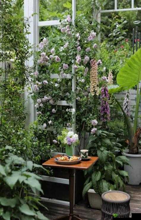 吃小花园是什么意思？正确的吃小花园方法到底是怎样的呢？快来一探究竟