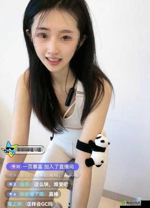 国产娇小 13videos 糟蹋:挑战道德底线的低俗内容