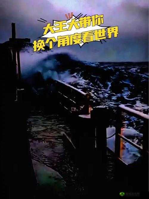 人善交videosHD 另类：探寻未知的世界