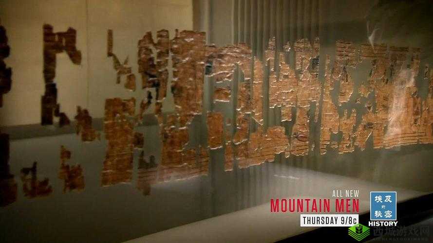 最强蜗牛都灵莎草纸,解锁古埃及文明的珍贵钥匙