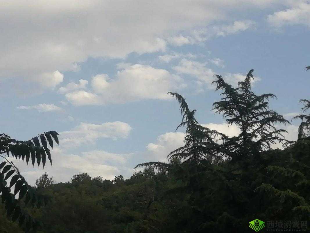 大地资源三在线观看 8 在哪能找到?如何流畅观看大地资源三在线观看 8 ?需要注意的是,大地资源三这类未经授权的影视资源可能涉及侵权行为,不建议通过非法途径观看支持正版,维护良好的影视生态环境