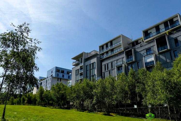 青草社区怎么样?全方位解析青草社区的特点与优势有哪些?