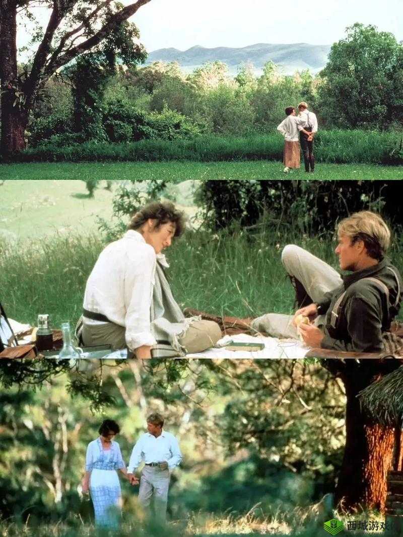 非洲电影免费观看投屏,你了解多少?