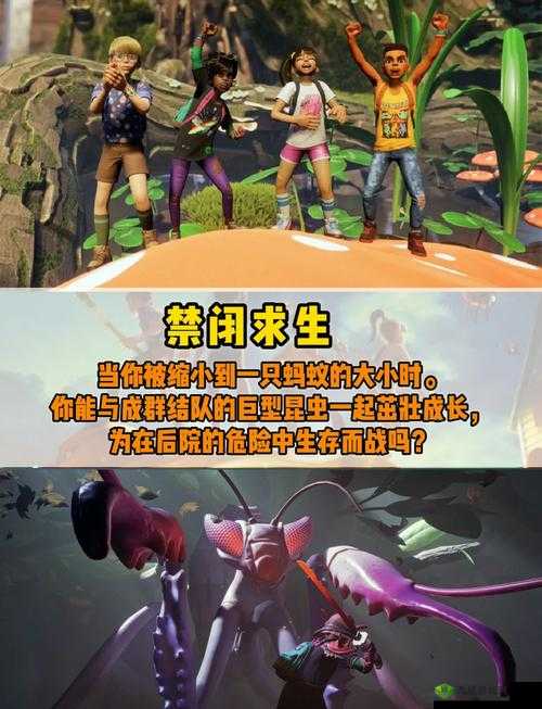 暗夜 pro 官网,挑战你的游戏极限