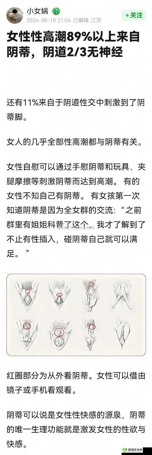 探索玩小处性女HD另类的独特魅力:深度解析与高清体验指南