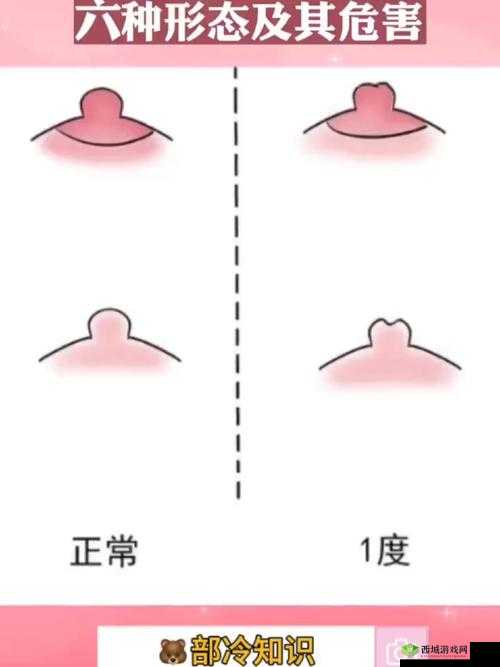 为什么有些女性的乳头会有小孔?这些小孔是做什么用的?