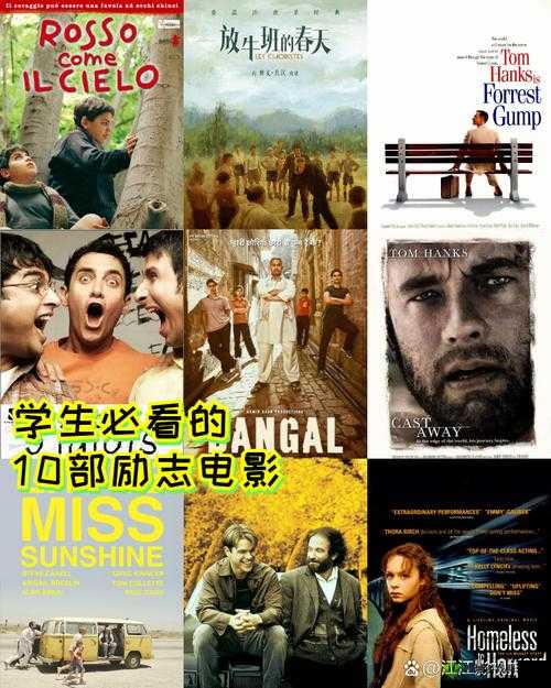 探索欧洲AV天堂:最新影片推荐与深度解析,满足你的观影需求与好奇心