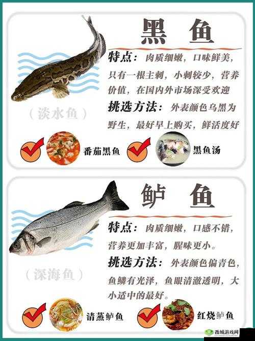 悠长假期鱼有什么用,鱼的用处介绍