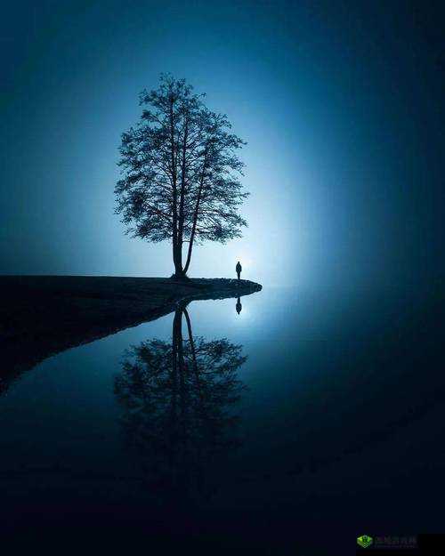 嫩 泬的神秘魅力:探索自然与人文交织的独特景观与文化传承