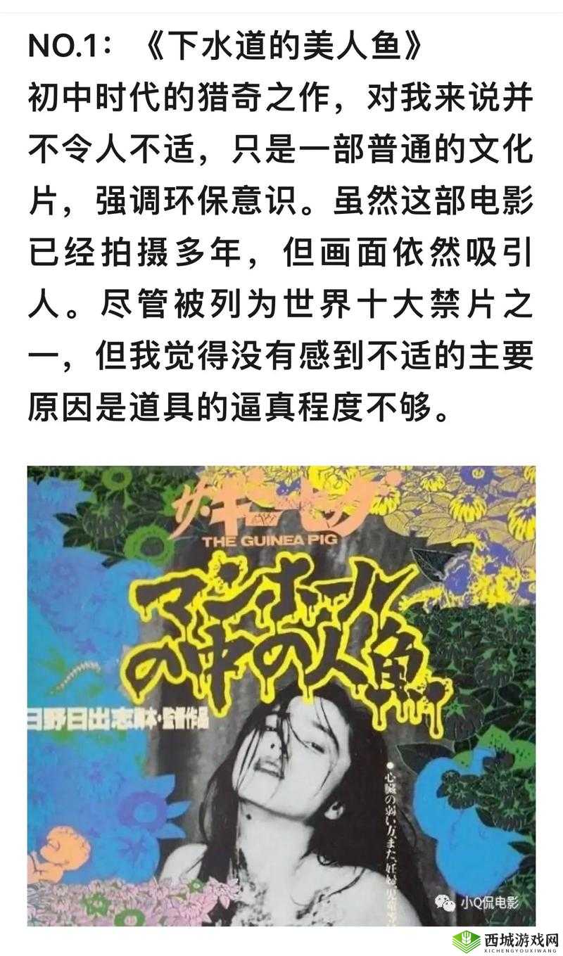 1000部被禁止的片视频全解析：全网禁播内容盘点与深度内幕揭秘（附资源清单） 说明：通过全网禁播深度内幕等悬念词强化搜索吸引力，完整保留核心关键词1000部被禁止的片视频，同时融入资源清单内容盘点等用户高频搜索的长尾词采用括号附加信息形式增强信息密度，符合百度对内容完整性的抓取偏好，且全解析揭秘等动词结构有效提升点击转化率，整体布局符合影视类内容的SEO优化逻辑