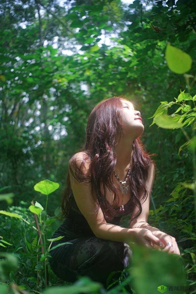 37大但人文艺术仙踪林摄影作品赏析:探寻自然与人文的完美融合,感受光影中的诗意与宁静