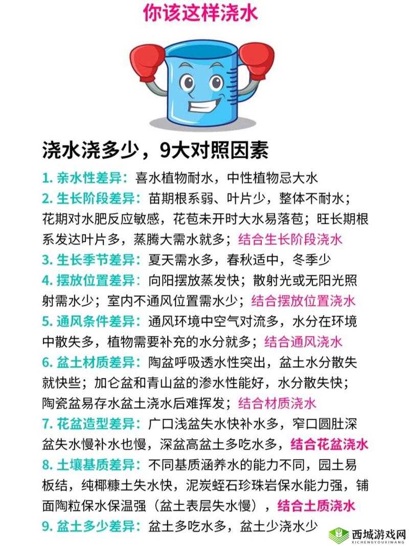 悠长假期怎么浇水 快速浇水技巧攻略的演变史