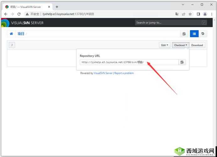 如何通过外网免费浏览入口轻松访问全球资源?实用技巧与安全指南分享