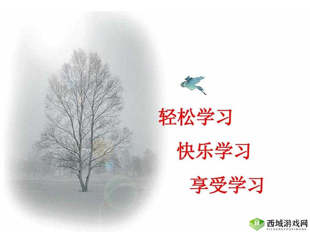 学习使我妈快乐第26关攻略，轻松解锁新乐趣