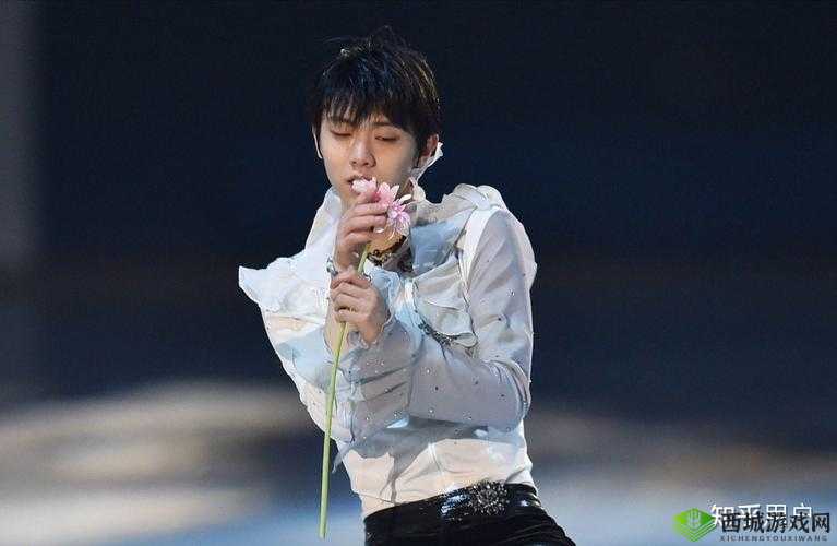 结弦中文在线观看完整版在哪看?快来这里寻找答案