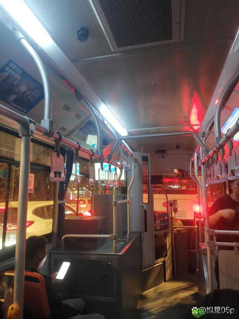 疯狂细节:公交车后座上的惊人一幕