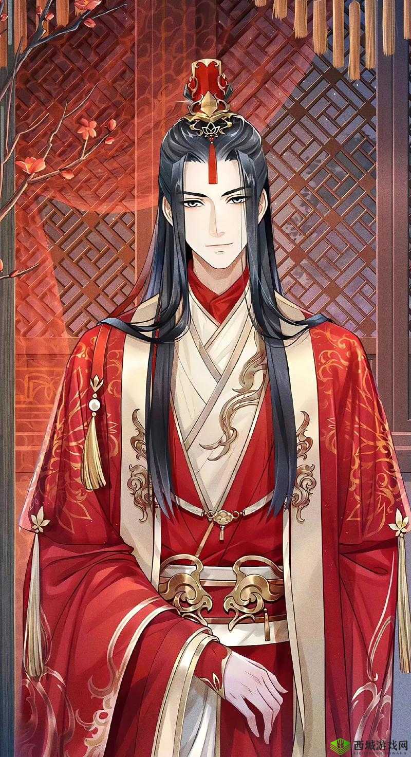 掌门太忙苏慈探奇答案大全，底层逻辑与实战操作全解析