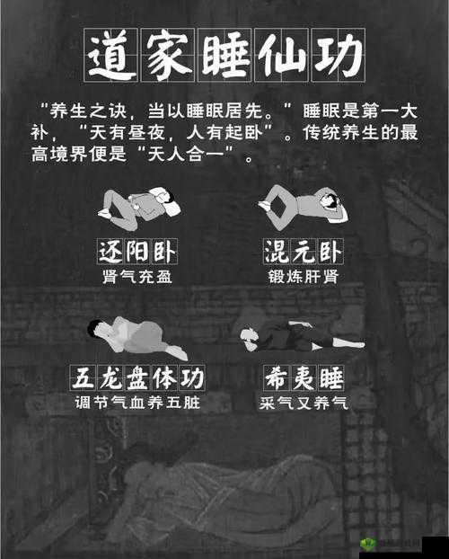 墨魂怎么安排睡觉，安排角色休息攻略的演变史专题