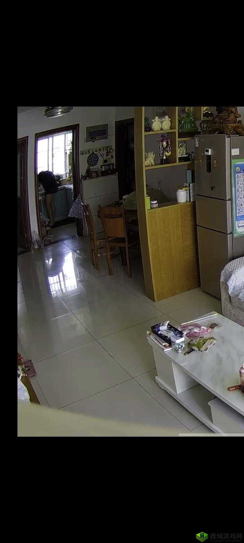 未定事件簿厨房监控需要出示吗?不出示监控的结局