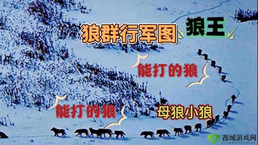 全球行动反抗军草原狼怎么样 属性图鉴详解及演变史专题