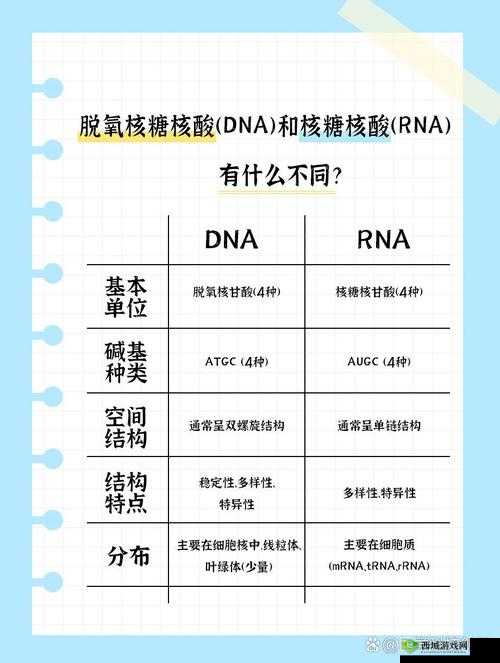 为什么日本妈妈 DNA 和儿子 DNA 会有区别?专家解读背后的奥秘