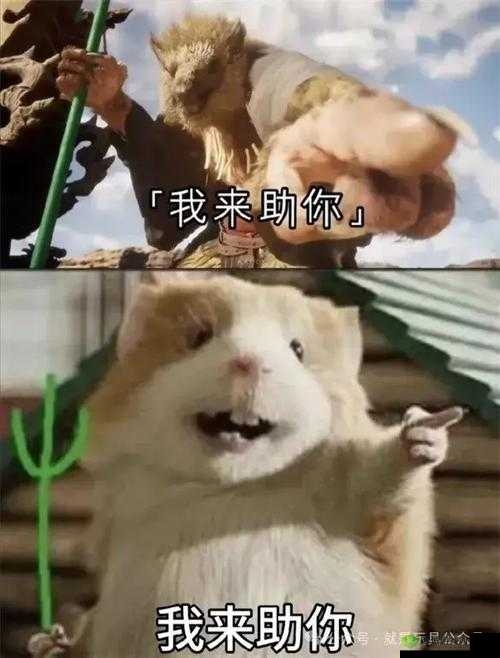 男生专用表情包大揭秘:这些经典表情你都知道吗?快来一探究竟