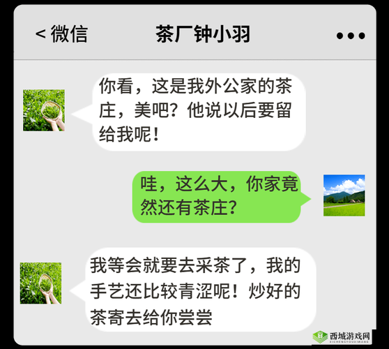 当你的老婆是个买茶女是怎样的体验？