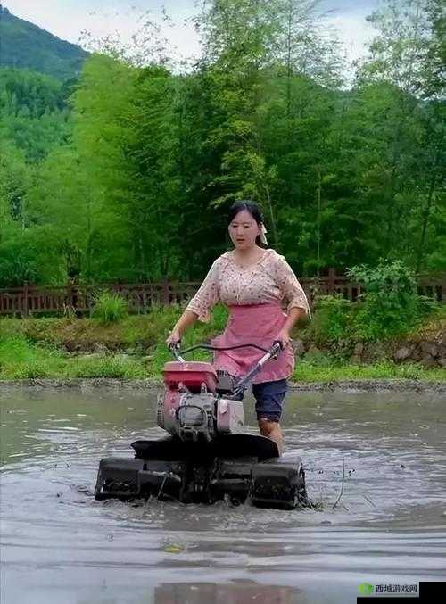 山村村妇露开大屁股:揭秘传统与现代碰撞下的乡村生活真实面貌