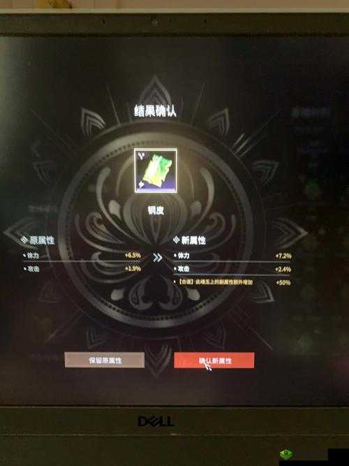 咔叽探险队极光词条选择深度解析,词条选择推荐介绍