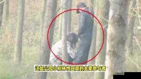 树林老人野战视频偷拍曝光,真实场景引发网友热议与反思