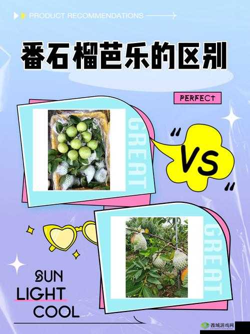 旧版芭乐官方网站到底有何独特之处?快来一探究竟