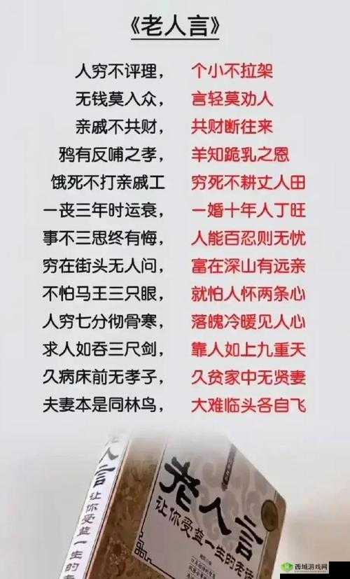 揭秘XX老头XX大爷XXX的传奇故事:你所不知道的生活智慧与人生哲理