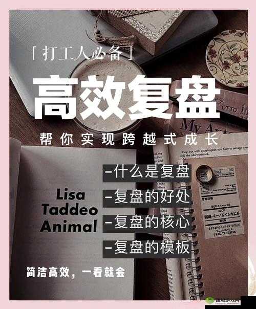 积积桶软件使用指南:如何直接进入并高效操作,提升工作效率的必备技巧