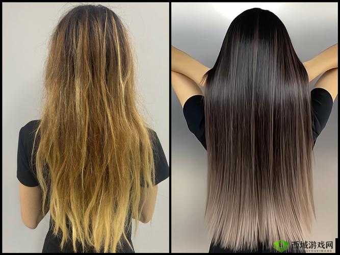 千人千色 T9 和 T9 到底有何独特之处?它们的魅力与差异在哪里?