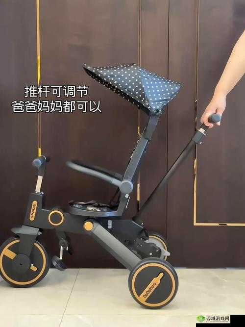 国产幼童小马拉车6价格大揭秘:究竟多少钱?快来一探究竟