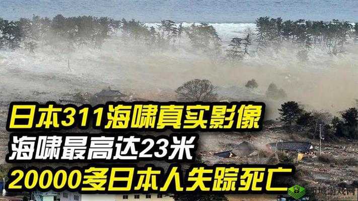 震惊高达 90%的日本人生成了怎样的现象?快来一探究竟