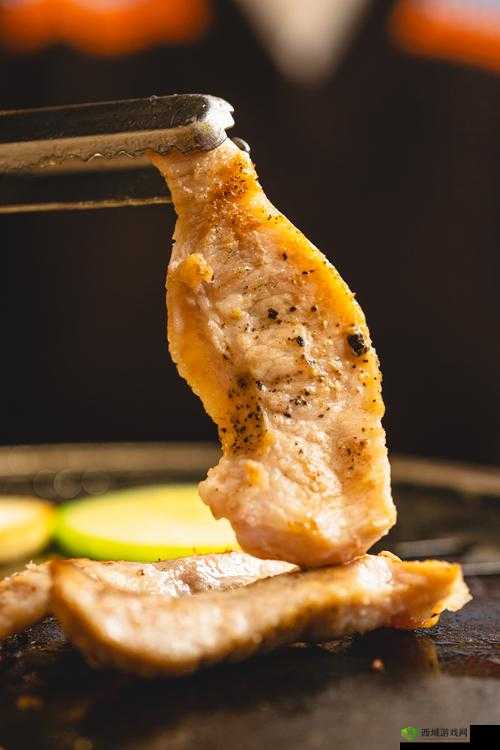 猎手之王烤肉有什么用，烤肉的作用与使用方式