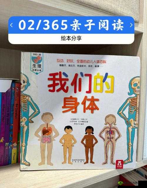 探索性ZOZ咬体内谢的奥秘:科学解析与健康影响全面解读